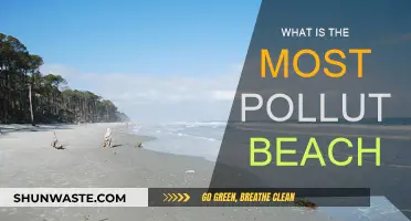The World's Most Polluted Beaches Uncovered
