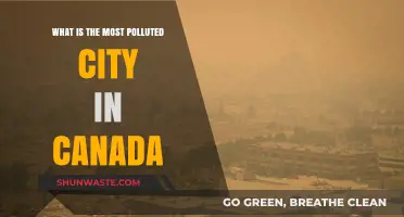 Canada's Air Quality Crisis: Unveiling the Most Polluted City