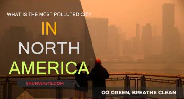 Air Pollution: North America's Most Polluted City