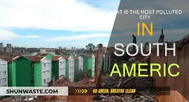 South America's Most Polluted City Revealed