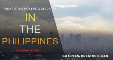 Air Pollution: Philippines' Most Polluted City