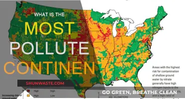 The Most Polluted Continents: A Global Crisis