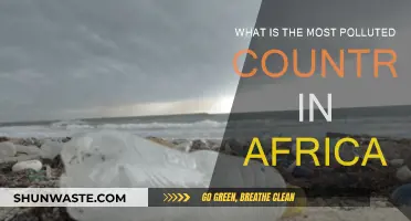 Air Pollution in Africa: Which Country Leads?