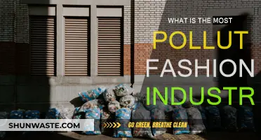 Fashion's Dark Side: The Most Polluting Industry