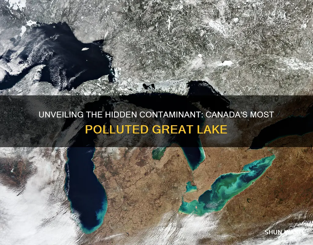 what is the most polluted great lake in canada