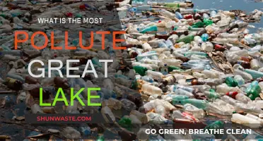 Which Great Lake is the Most Polluted?