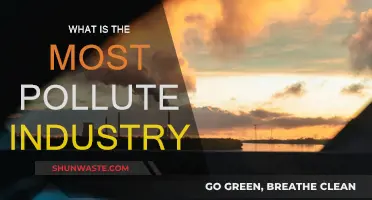 The Dark Side of Industries: Pollution's Worst Offenders