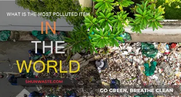 The Most Polluting Item: A Global Concern