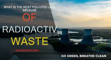 Radioactive Lake Pollution: A Deadly Legacy