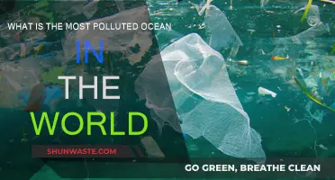 The Pacific Ocean: A Polluted Paradise