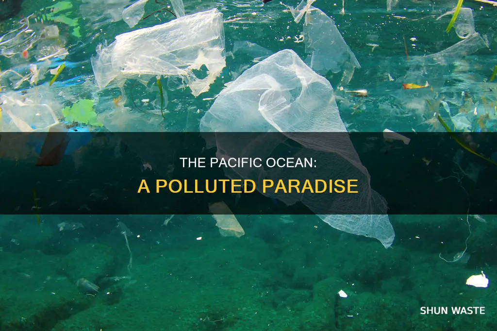 what is the most polluted ocean in the world