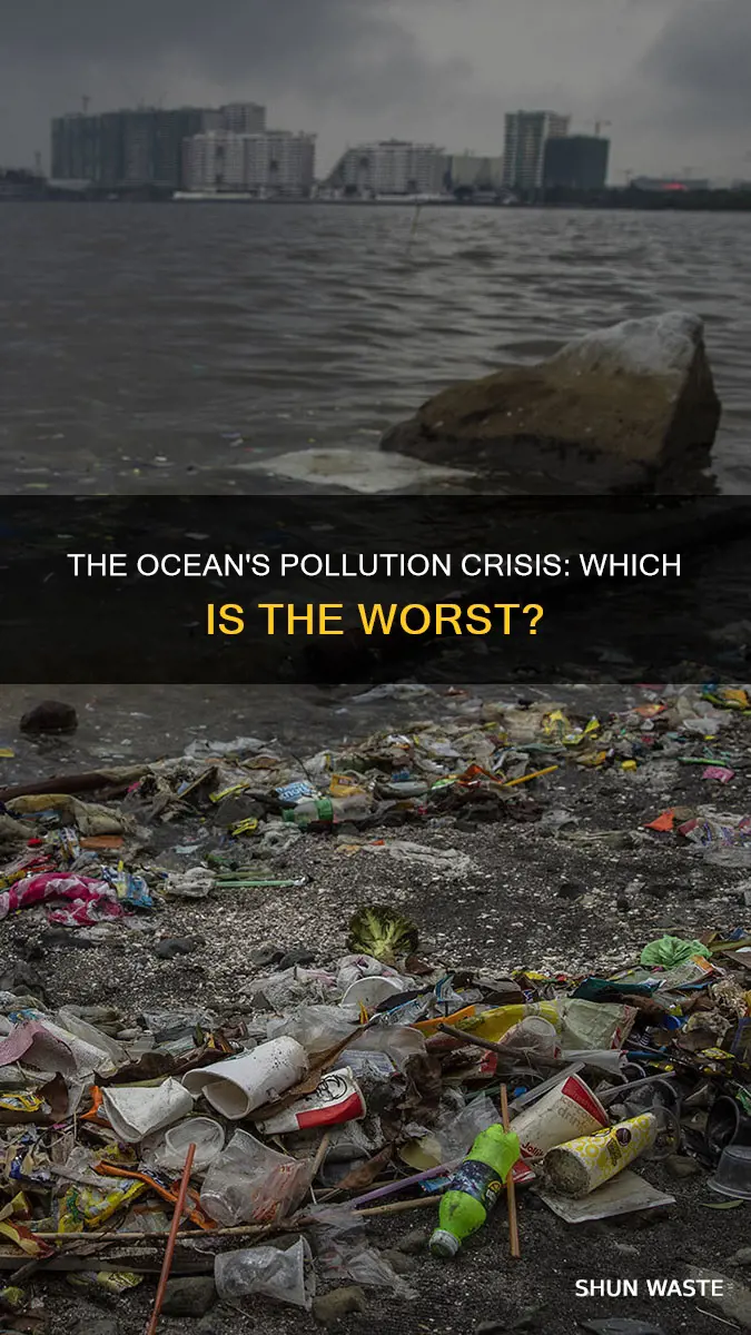 what is the most polluted ocean