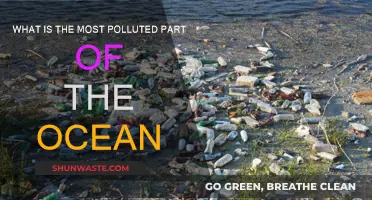 Ocean Pollution: Where is the Most Toxic Water?