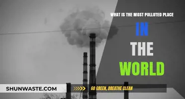 The World's Most Polluted Places