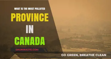 Canada's Most Polluted Province: Unveiling the Environmental Crisis