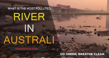 Australia's Most Polluted River: A Troubling Story