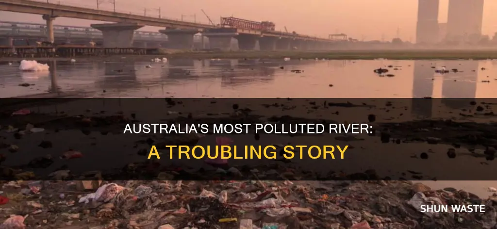 what is the most polluted river in australia