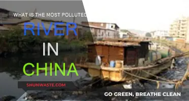 China's Most Polluted River: A Troubling Overview