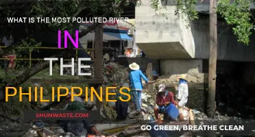 Philippines' Most Polluted Rivers: Understanding the Crisis