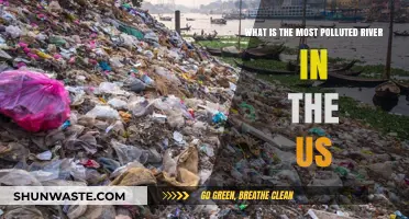 The US's Most Polluted River: A Troubling Story