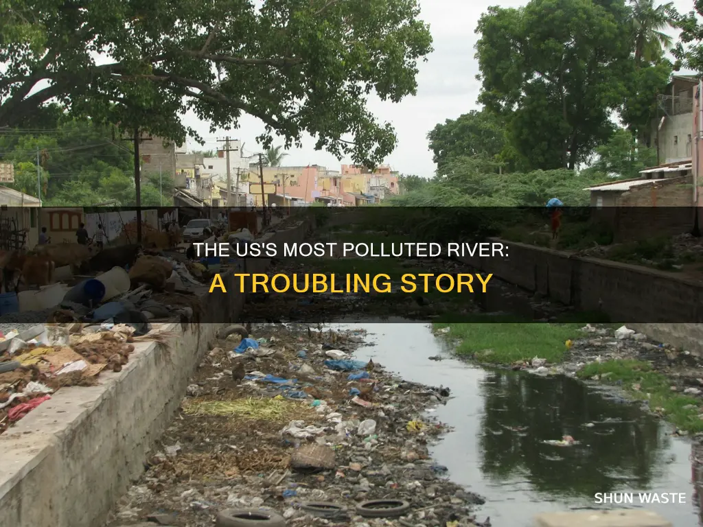 what is the most polluted river in the us