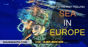 European Seas: Which is the Most Polluted?