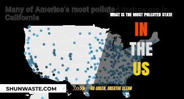 The Most Polluted State in the US: A Troubling Picture