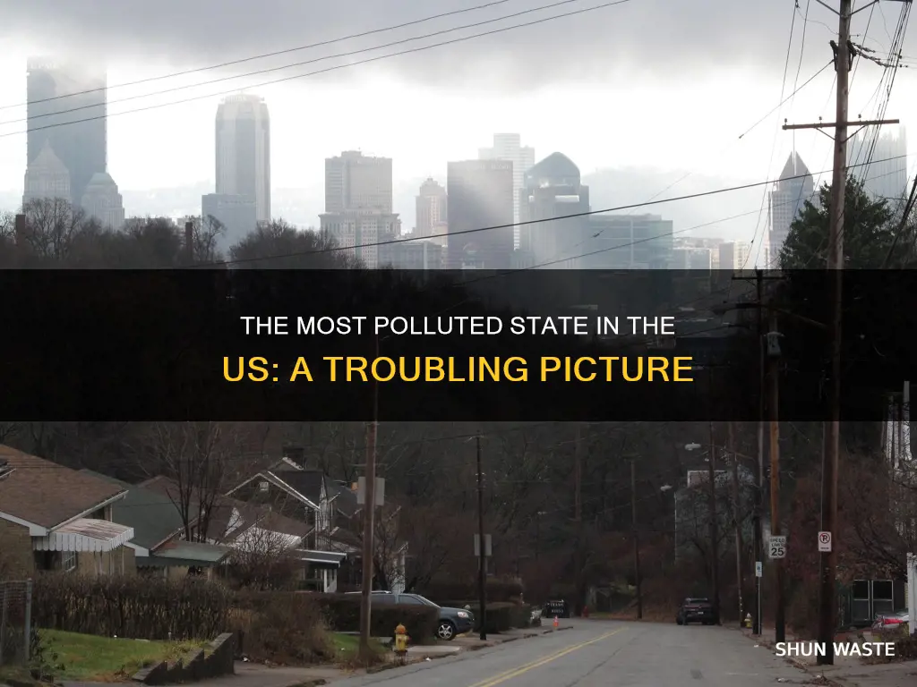 what is the most polluted state in the us
