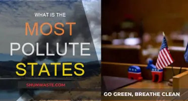 Which States Have the Worst Pollution Problems?