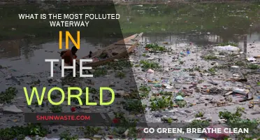 The World's Most Polluted Waterway: A Toxic Legacy
