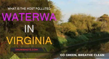 Virginia's Waterway Pollution Crisis: Which is the Worst?