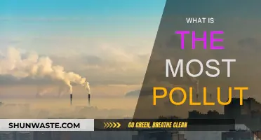 World's Most Polluted Regions: A Troubling Overview