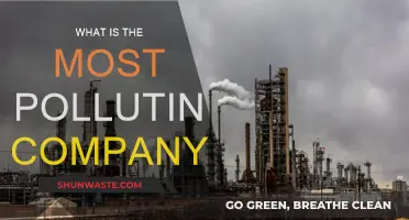 The World's Most Polluting Company: Who's to Blame?