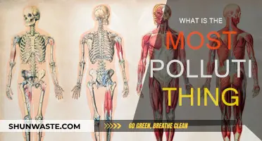 The Most Polluting Activities and Their Impact