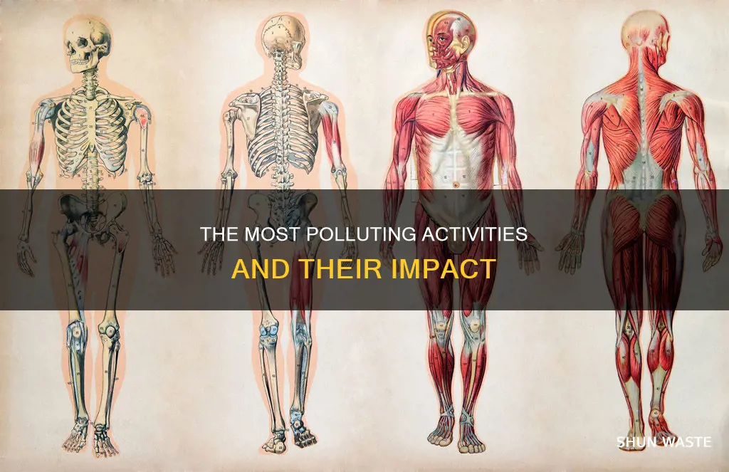 what is the most polluting thing