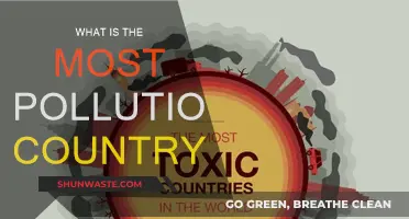 Which Country is the World's Most Polluted?