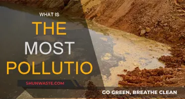 The Most Polluted Cities and Their Battles