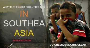 Air Pollution in Southeast Asia: The Worst Offender