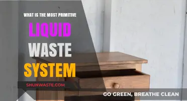Exploring Ancient Liquid Waste Systems: The Most Primitive Methods Revealed