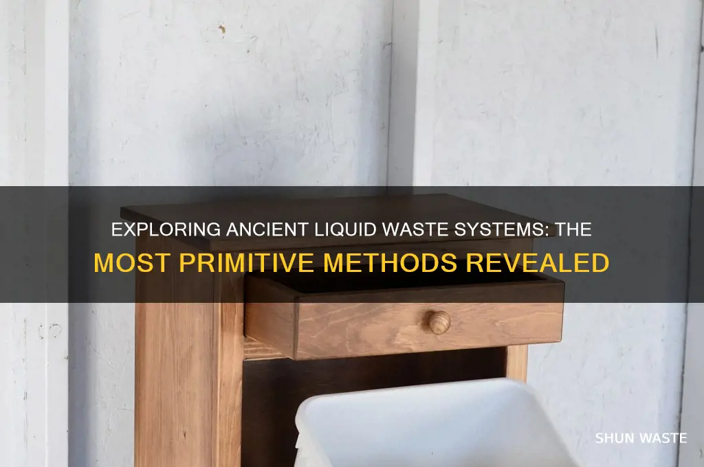 what is the most primitive liquid waste system