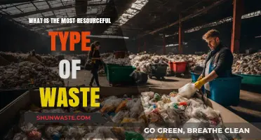 Transforming Trash: Discovering the Most Resourceful Type of Waste