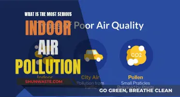 Deadly Indoor Air: The Silent Killer in Your Home