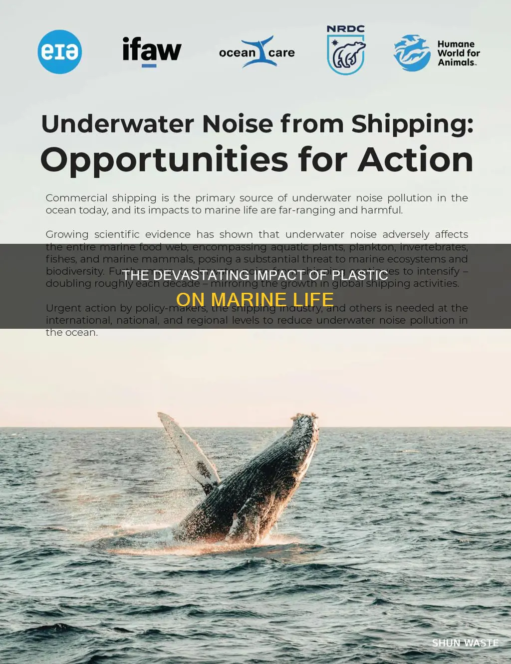 what is the most significant contributor to marine life pollution