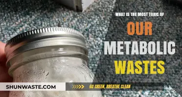 Unveiling the Deadliest Metabolic Waste: A Toxic Threat Within