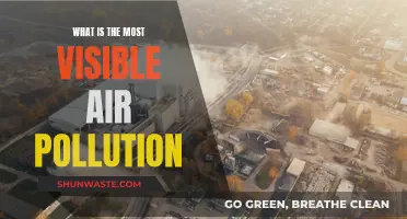 Visible Air Pollution: What's Harming Us the Most?