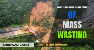 Visible Mass Wasting: Understanding Landslides and Their Impact