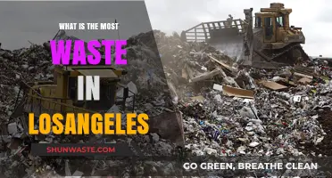 Unveiling Los Angeles' Biggest Waste: Sources, Impact, and Solutions