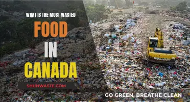 Uncovered: The Shocking Truth About Food Waste in Canada