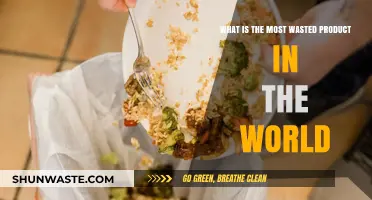 Global Waste Crisis: Uncovering the Most Discarded Product Worldwide