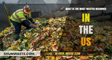 America's Hidden Crisis: The Most Wasted Resource and Its Impact
